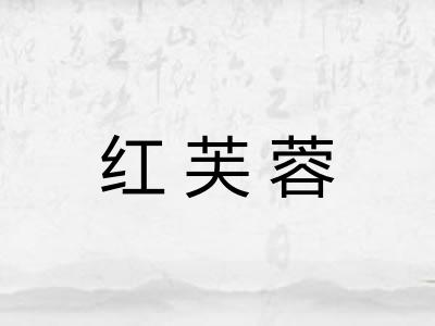 红芙蓉