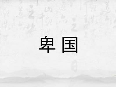 卑国