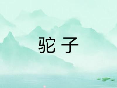 驼子