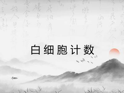 白细胞计数