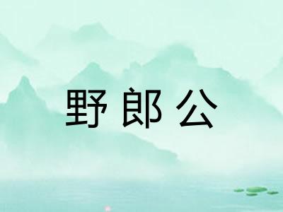 野郎公