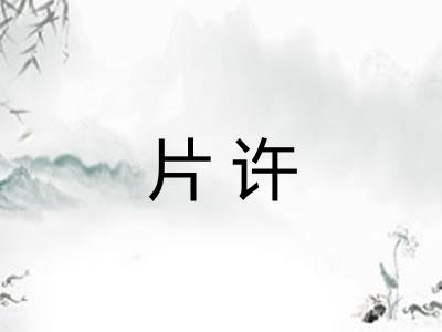 片许