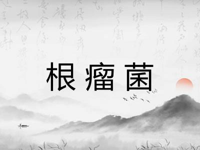 根瘤菌