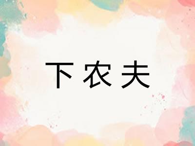 下农夫
