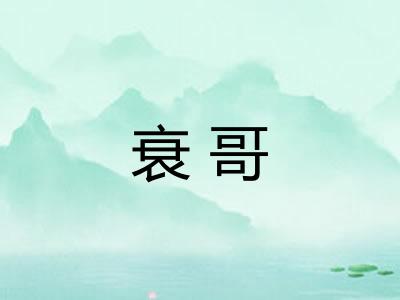 衰哥