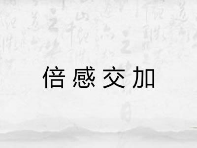 倍感交加