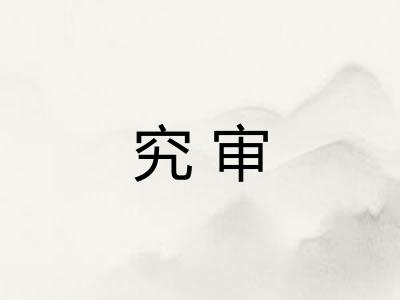 究审