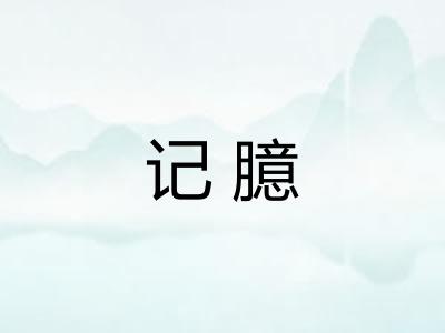 记臆