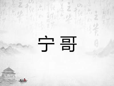 宁哥