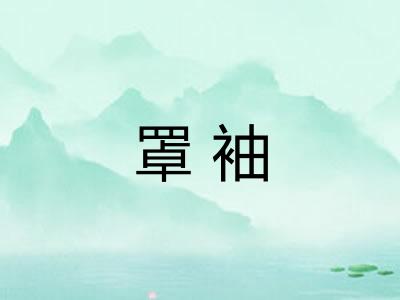 罩袖