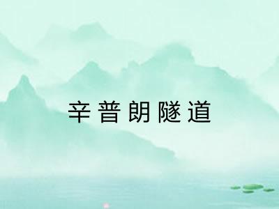 辛普朗隧道
