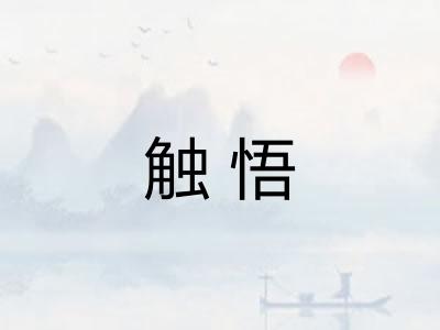 触悟