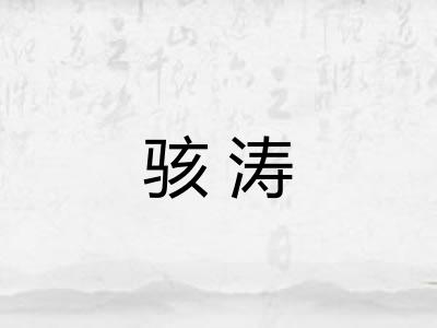 骇涛