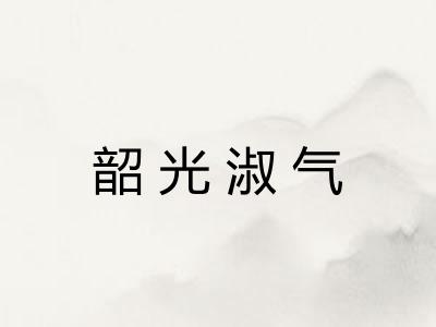 韶光淑气
