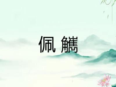 佩觽