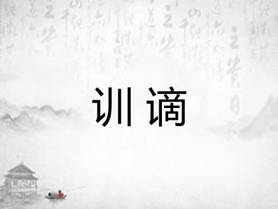 训谪