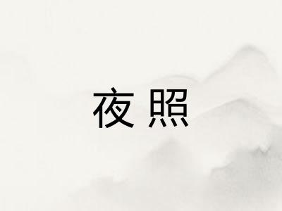 夜照