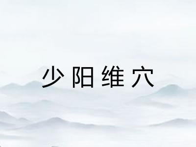 少阳维穴