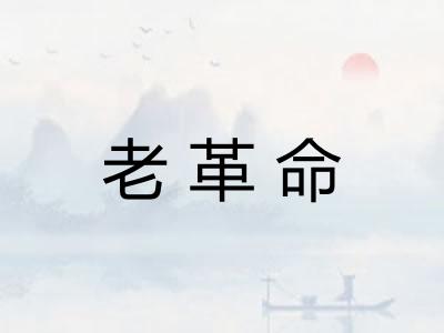 老革命