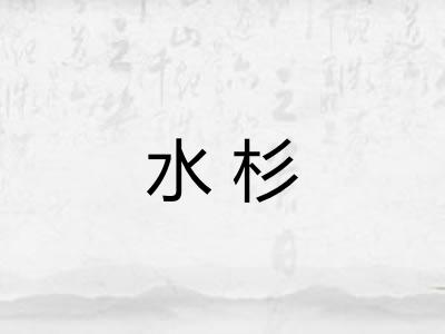 水杉
