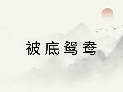 被底鸳鸯