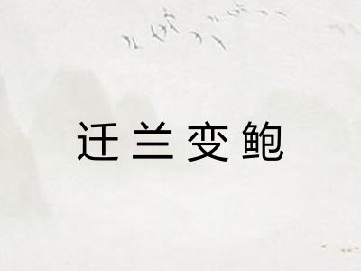 迁兰变鲍