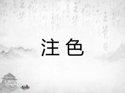 注色