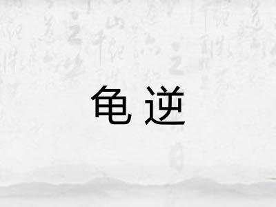 龟逆