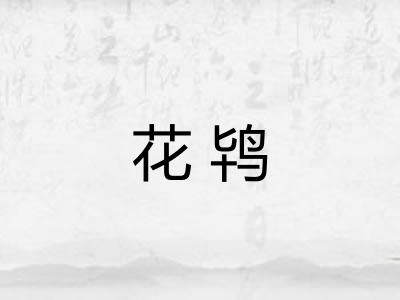 花鸨