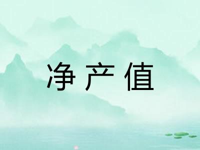 净产值
