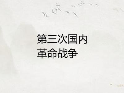 第三次国内革命战争