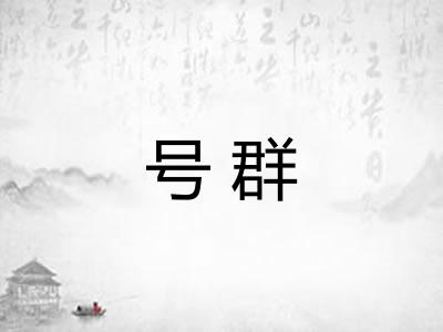 号群
