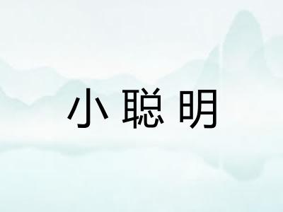 小聪明