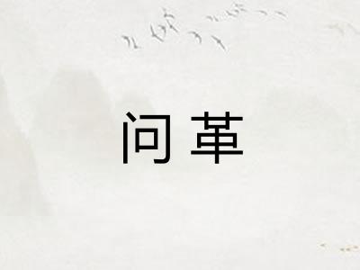问革