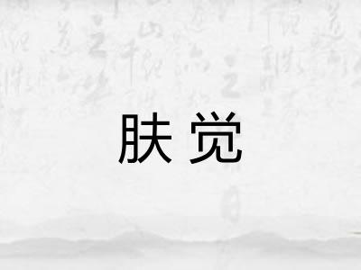 肤觉