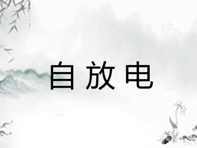 自放电