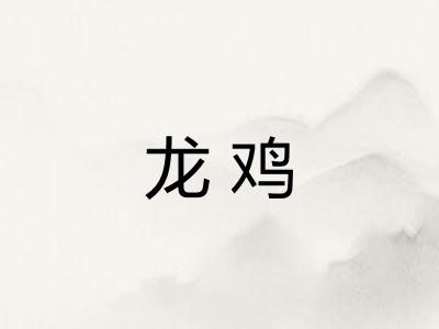 龙鸡