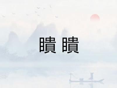 瞶瞶