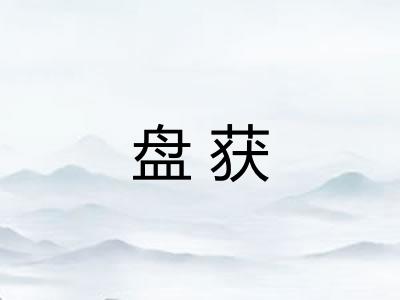盘获
