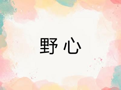 野心