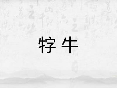 牸牛