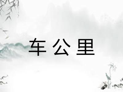 车公里