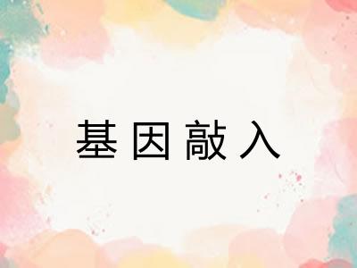 基因敲入