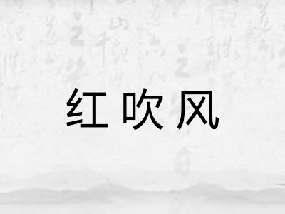 红吹风