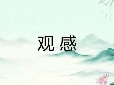 观感
