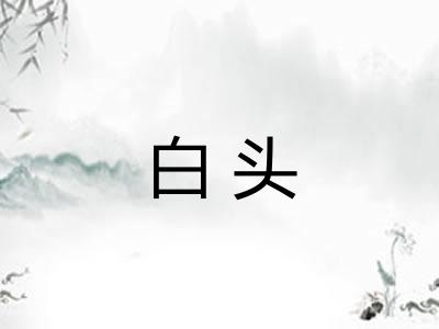白头
