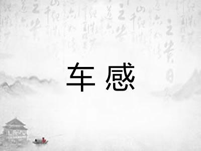 车感