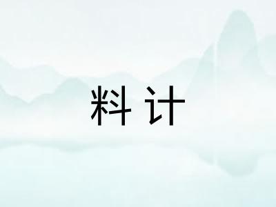 料计