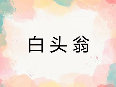 白头翁
