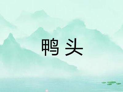 鸭头